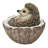 Coconut Hedgehog
