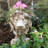 Pot à fleurs Muggly's-1979511404-1979511406