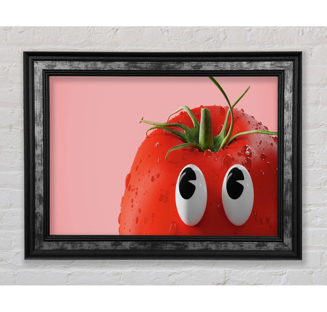 Tomato Stare - Drucken