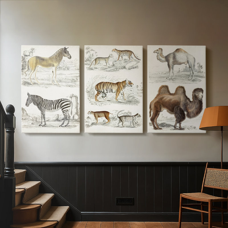 Journal de l'histoire naturelle I - Toile tendue sur mesure avec châssis - 3 pièces, Toile tendue, H 60 po x l 120 po