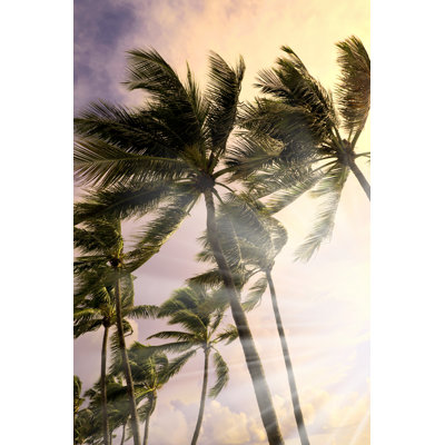 Windy Storm and Waving Palm Trees 1 Piece Wrapped Canvas Wall Art