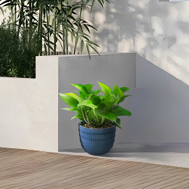 4 pots de fleurs en céramique, pot de fleurs moderne pour patio, jardin ou rebords de fenêtre, Bleu antique