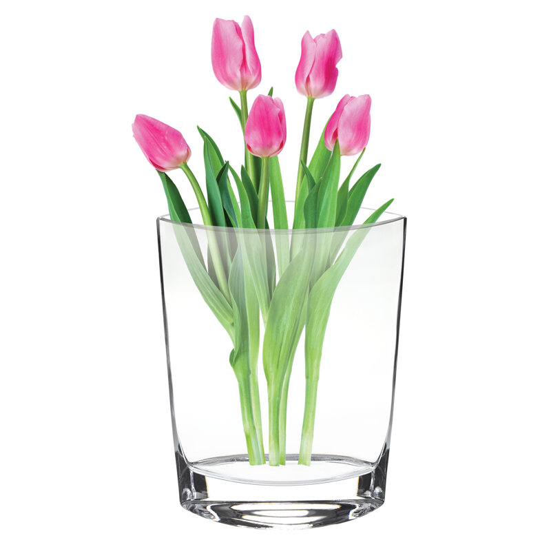 Vase de table en verre d’intérieur/d’extérieur transparent 11 po Annekatrin