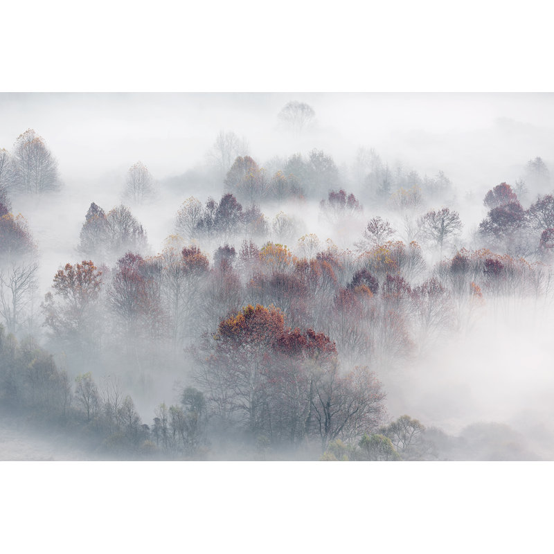Art sur toile Misty Autumn Woodland