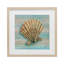 «Coastal Teak Clam Shell», reproduction encadrée sous verre, conception de Paul Brent-1333636593-1333636607