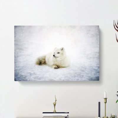 Resting Arctic Fox - Wrapped Canvas