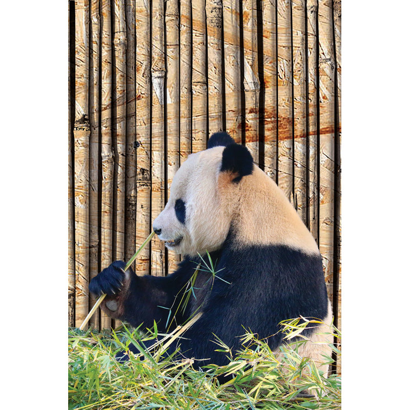 Panda - No Frame Print on Wood