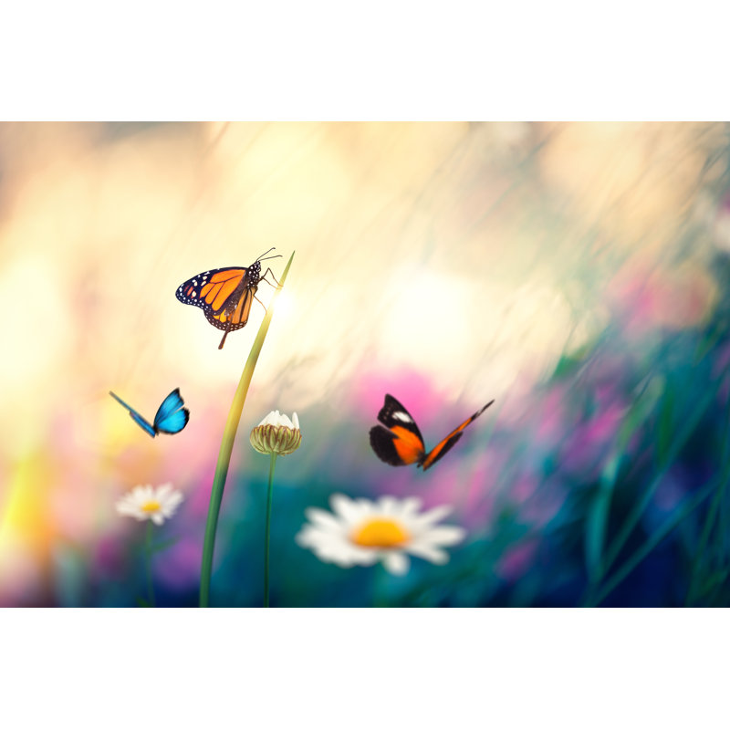 Flowers With Butterflies - Wrapped Canvas Print, 61cm H x 91cm W x 3.8cm D