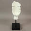 Statue Vitruvian soufflant un baiser