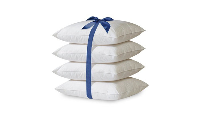 Ensemble de 4 coussins décoratifs en duvet synthétique hypoallergénique (20 po x 20 po)