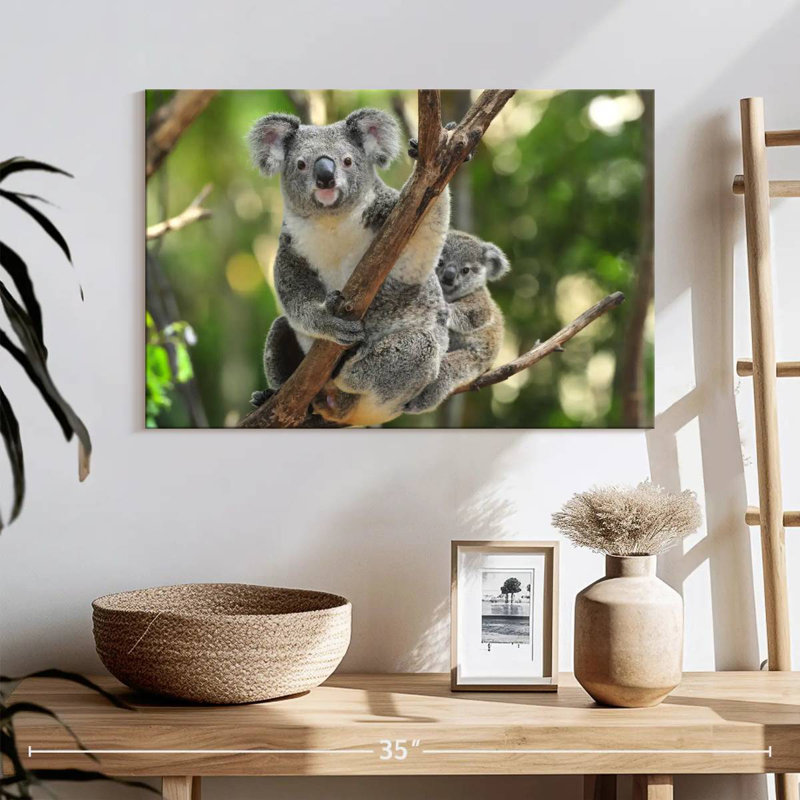 Koala australien, H 34 po x l 51 po