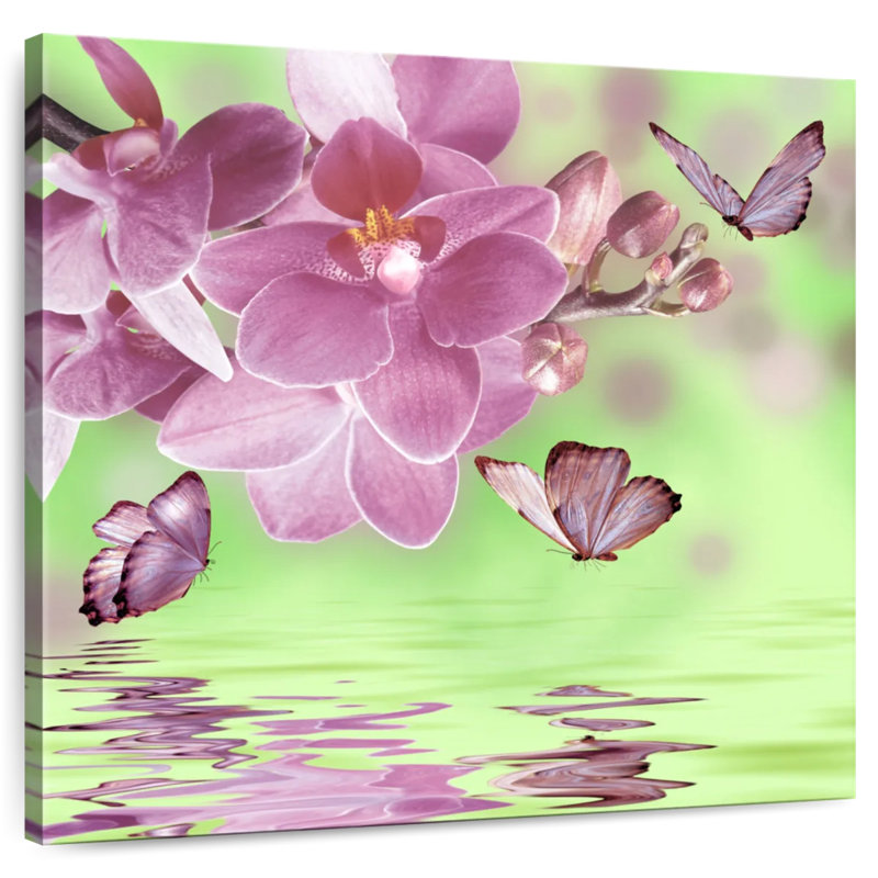 Harnek Orchid Blossoms