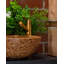 Soft40 15.75'' L Bathroom Sink-70532511