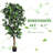 72'' Faux Ficus Tree in Pot