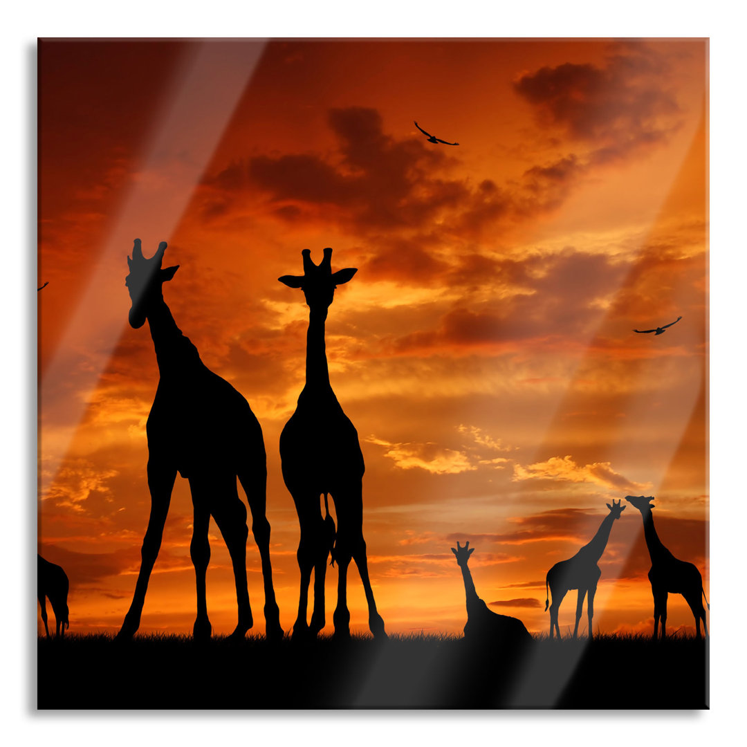 Ungerahmter Grafikdruck auf Glas "African Giraffes in the Sunset"