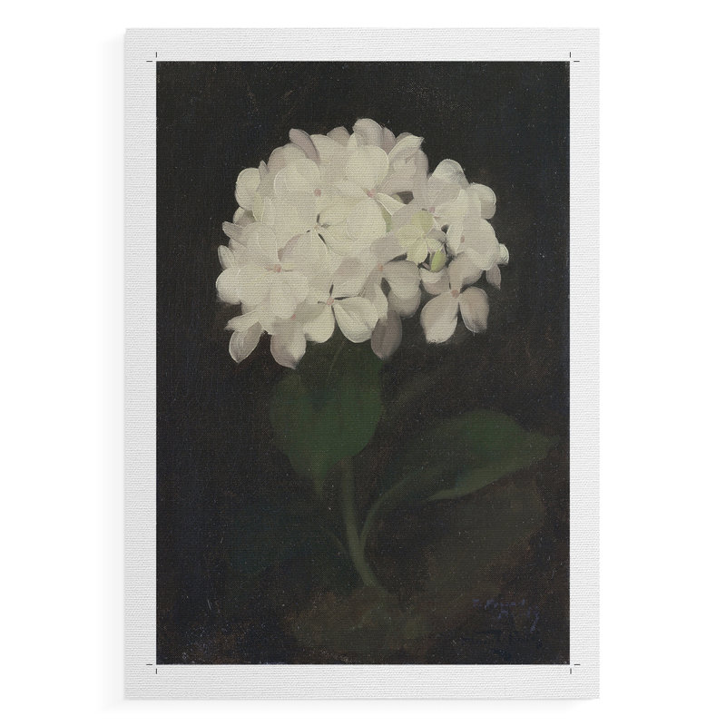 Imprimé floral rétro CCXC III - reproduction de toile seulement - non encadrée