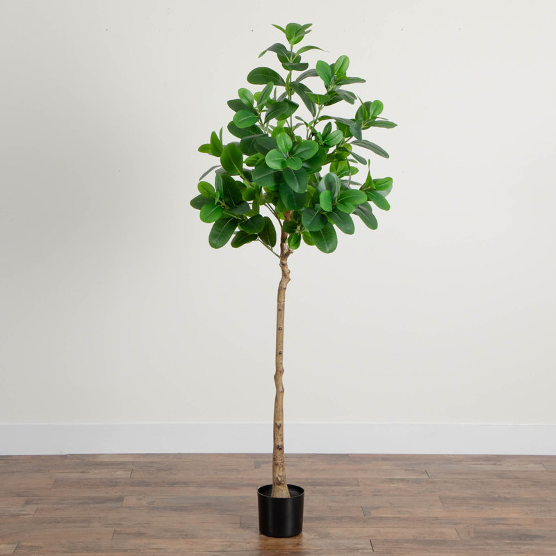 7 pi Ficus Audrey artificiel, H 72 po x l 26 po x P 7 po