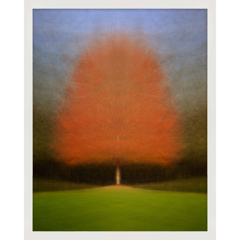 Persistence by Laura Zimmerman - Framed Wall Art, White Framed Paper, 25" H x 20" W