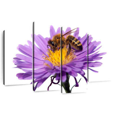 Abeille à miel qui suce le nectar