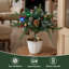 1.97' H Artificial Pine Christmas Tree