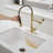 Pull Down Single Handle Kitchen Faucet with Accessories-70472617
