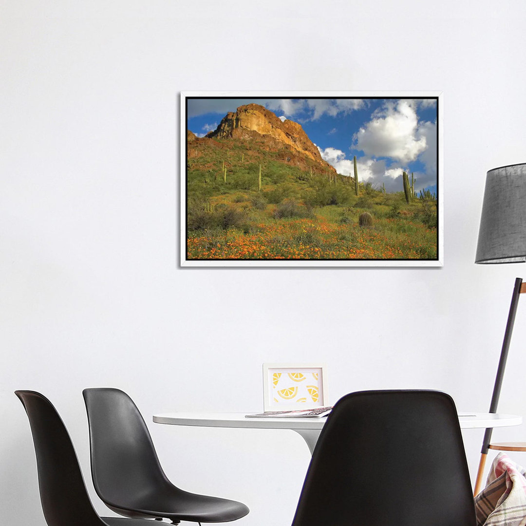 Kalifornischer Mohn und Saguaro-Kakteen, Organ Pipe Cactus National Monument, Arizona II von Tim Fitzharris - Galerie-ve...