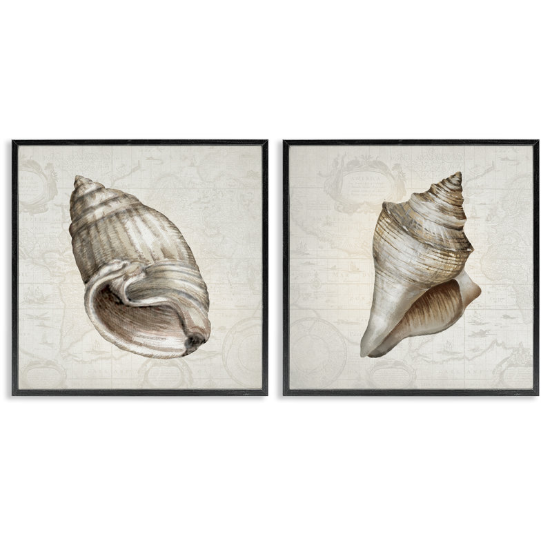 Conch, coquillages sur cartes rétro, ensemble de 2 giclées encadrées, conception par Conrad Knutsen, H 24 po x l 48 po