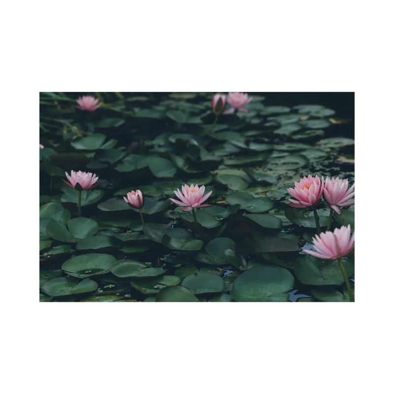 The Lilypond by Ann Hudec - Wrapped Canvas Print, 20.32 cm H x 30.48 cm W