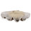 Plastic Decorative Bowl