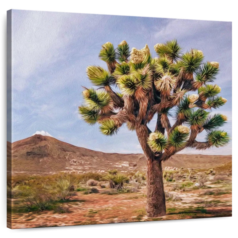 Alvord Joshua Tree In Mojave Desert, 39" H x 39" W