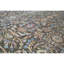 Windsom Oriental Area Rug