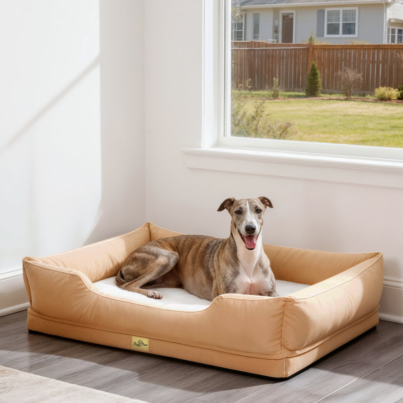 Orthopedic Dog Bed with Bolster , 2XL (23cm H x 111cm W x 88cm D), Beige