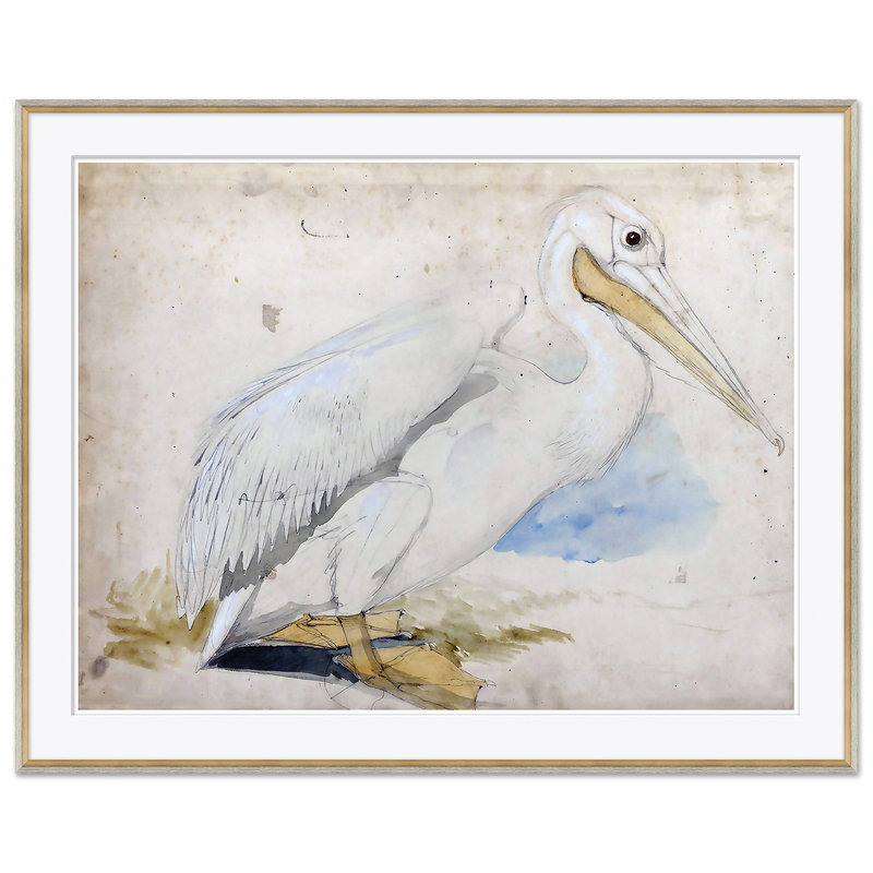 Oiseaux de mer - ensemble de 2 impressions sur papier encadré