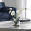 Orchidée Uttermost Glory