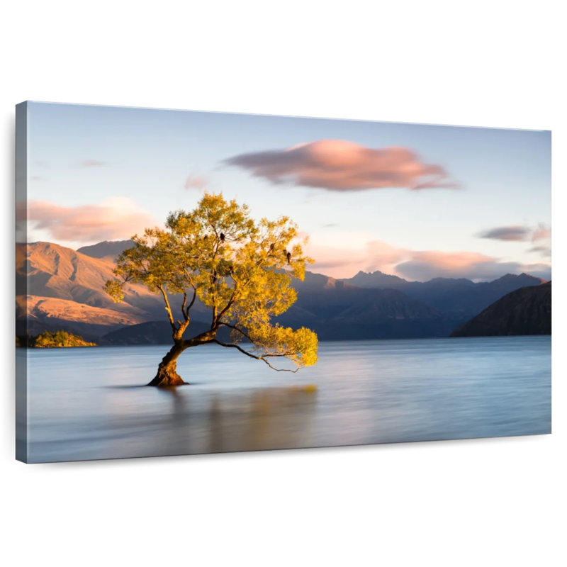 Alvord Lake Wanaka, Nouvelle-Zélande, H 16 po x l 24 po
