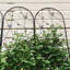 Barrière de jardin en treillis de jardin en métal 86,7 "x 19,7" treillis antirouille pour plantes grimpantes