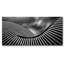 Urban Nautilus Print-46472090-71205048
