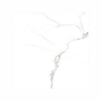 100-1103P-12X24 - Calacatta - Polished