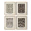 «William Morris II», ensemble de 4 reproductions encadrées-2017046633-2017046636