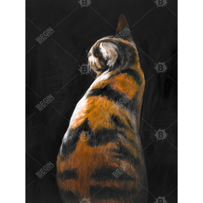 Chat tacheté - Feline Living