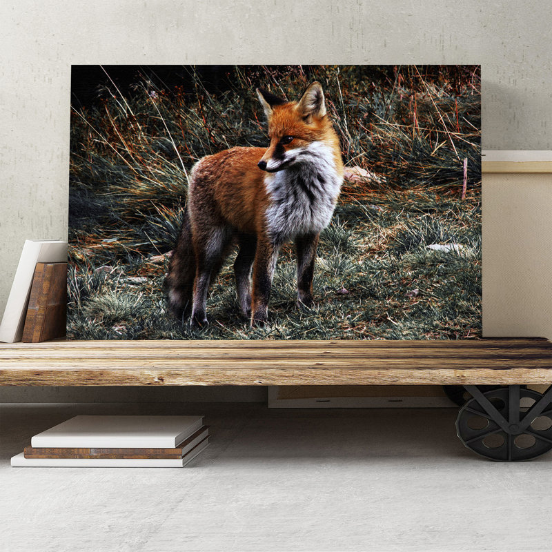 Red Fox Photographic - Wrapped Canvas, 50cm H x 76cm W