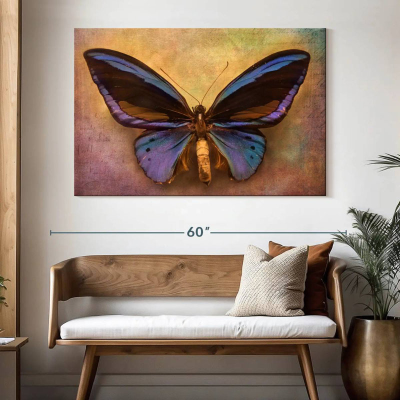 Original Butterfly, 34" H x 51" W