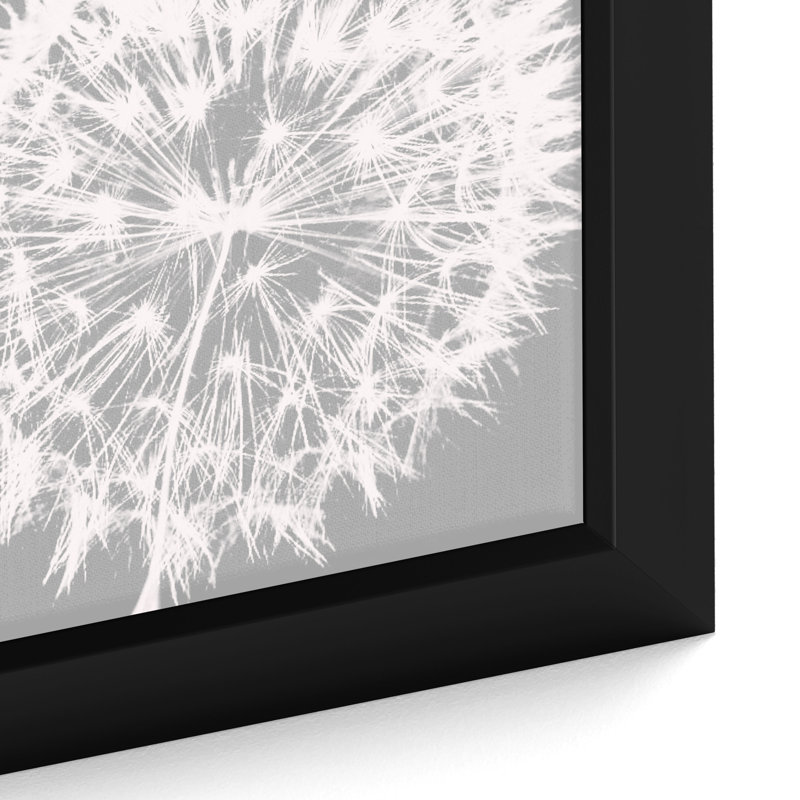 «Dandelion 7» par Irena Orlov, reproduction d'art sur toile encadrée blanche et grise, H 18 po x l 18 po x P 2 po