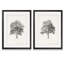 « rétro arbor study i » par antonyme bunjamin (abe)-ensemble de 2 reproductions de photos sur toile-1374617552-1374617517-1374601752