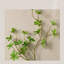 Art mural en bois massif blanc et grès rectangulaire blanc-117618061