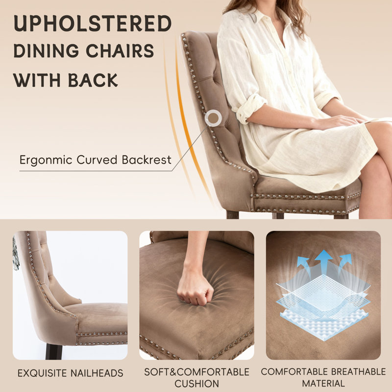 Ensemble de 6 chaises de salle à manger rembourrées Modern Velvet, Kaki