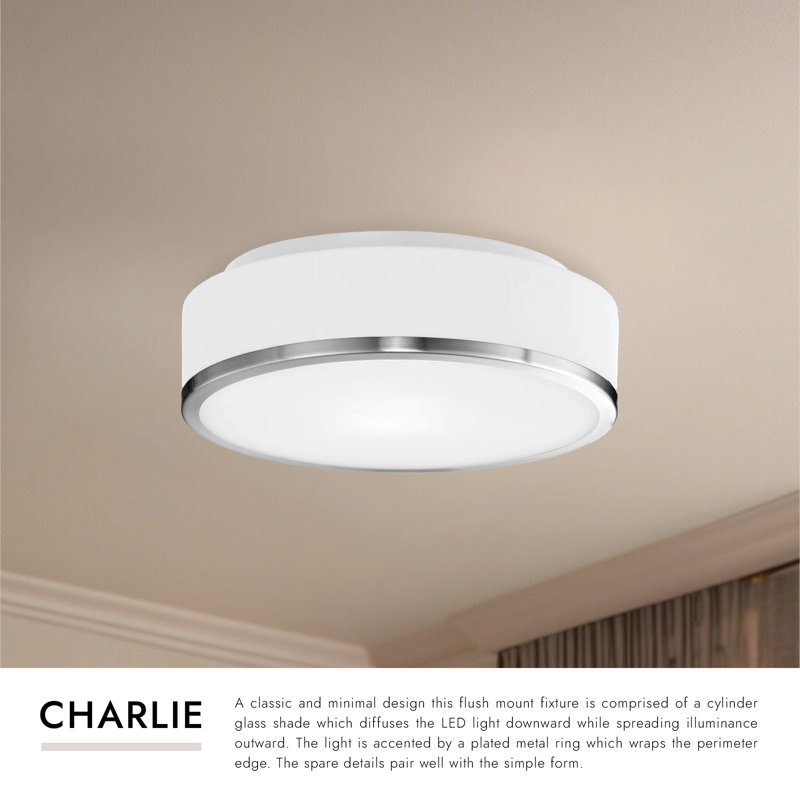 Charlie 1 - Light LED Flush Mount, Black