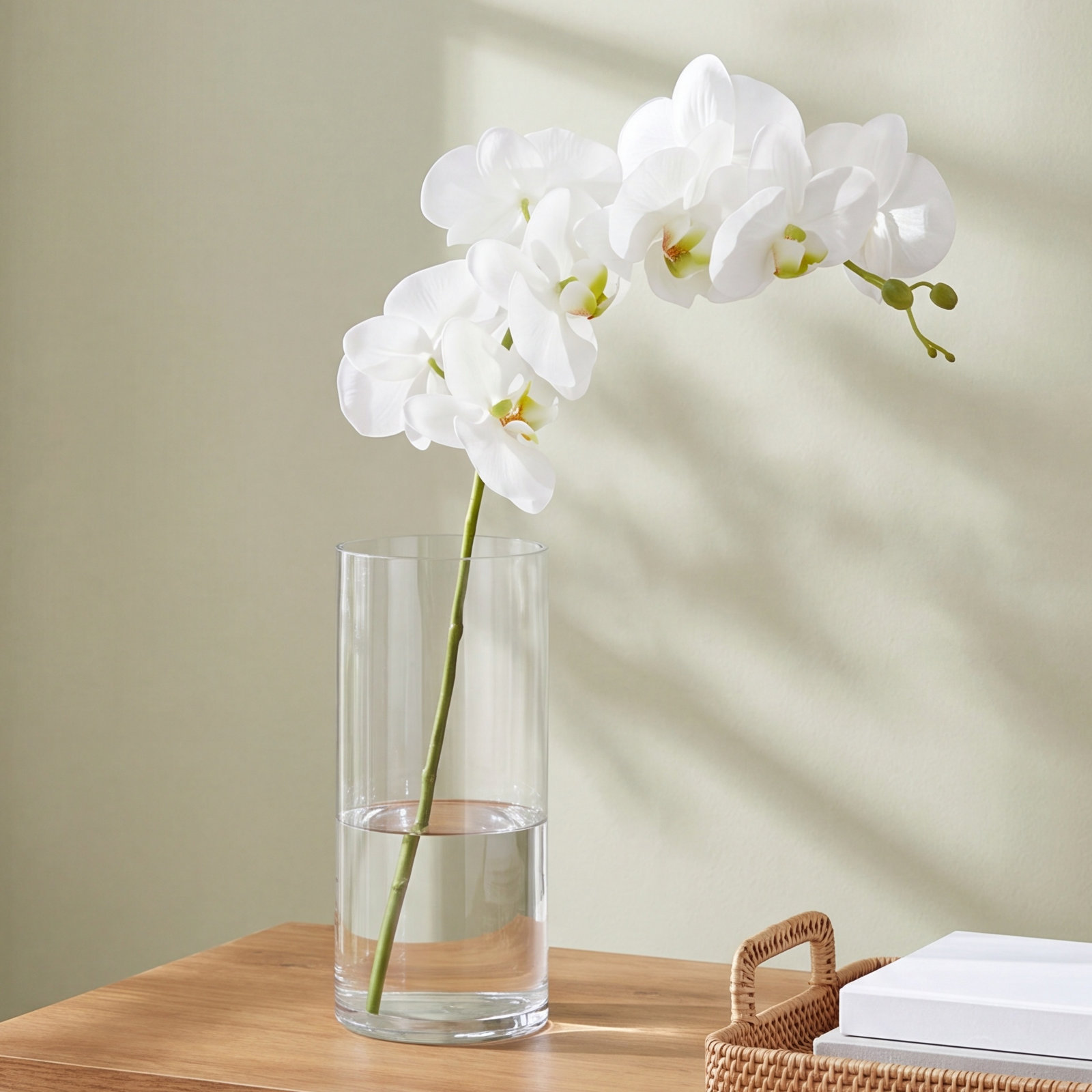Phalaenopsis Orchid Stems, White