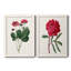Toile encadrée rosée Blooms II-59823596-59823597-59986633