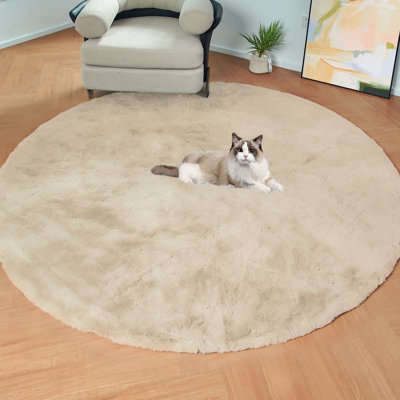 Alphones Washable Indoor Rug